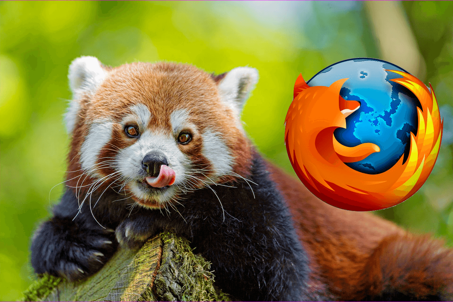 Какой зверь изображён на логотипе Firefox