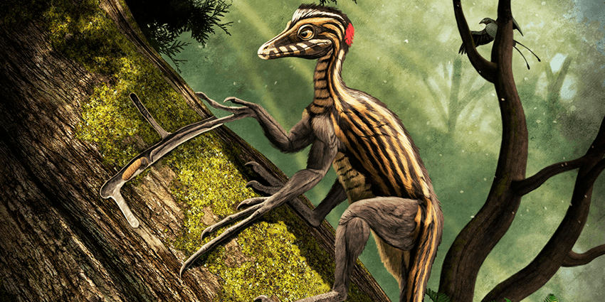 Епидендросаурус (лат. Epidendrosaurus)