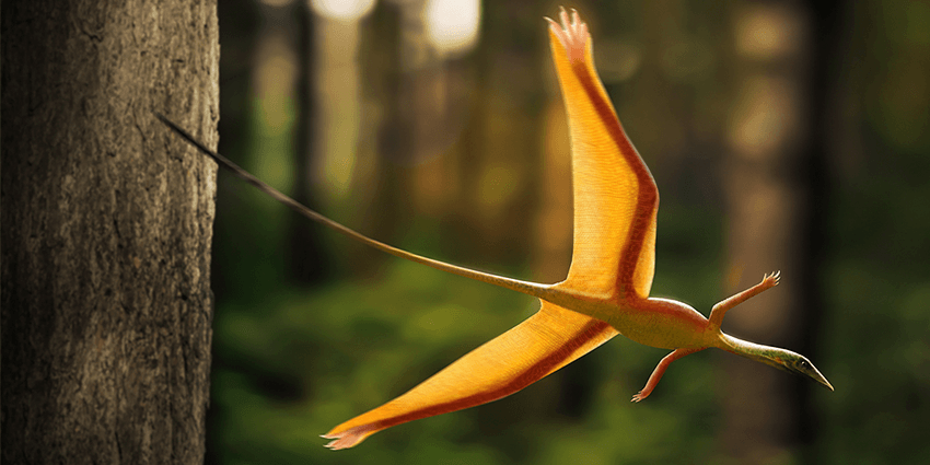 Шаровиптерикс (лат. Sharovipteryx)