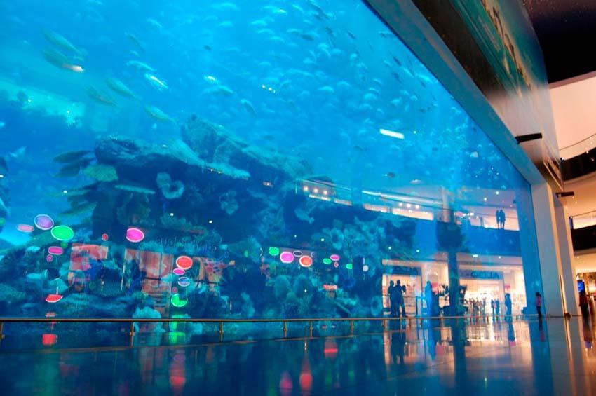 10 самых больших и экстремальных аквариумов в мире