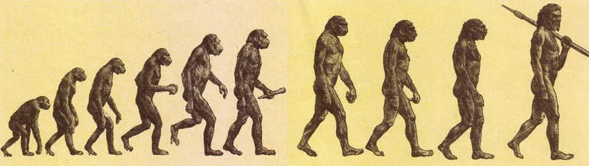 Эволюционирует ли человек сегодня?