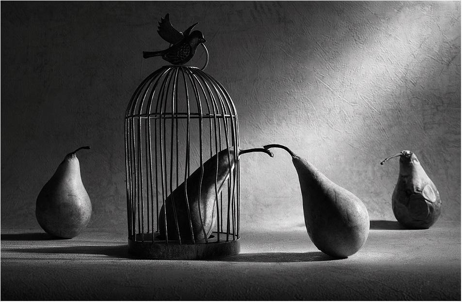 Грустные и депрессивные черно-белые концептуальные работы Виктории Ивановой