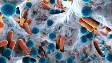 Антибиотики вызывают долгосрочные изменения организма