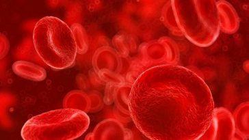 Ученые разработали технологию искусственного производства крови!