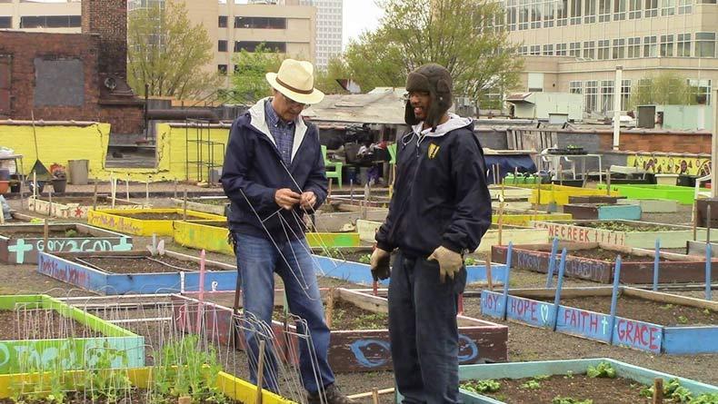 Бездомные посадили огромный органический сад, чтобы обеспечить пищей весь приют