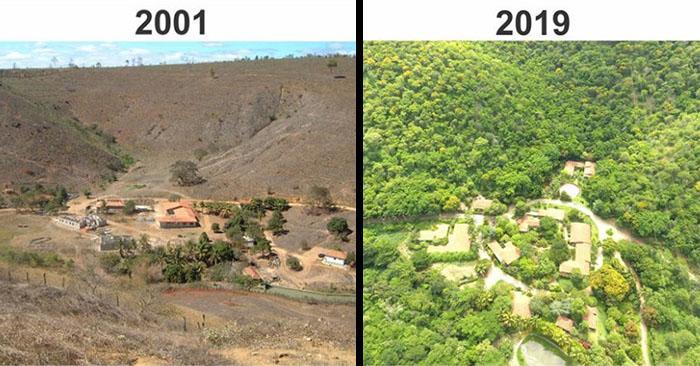 Супружеская пара посадила 2,7 миллиона деревьев за 20 лет, чтобы восстановить разрушенный лес
