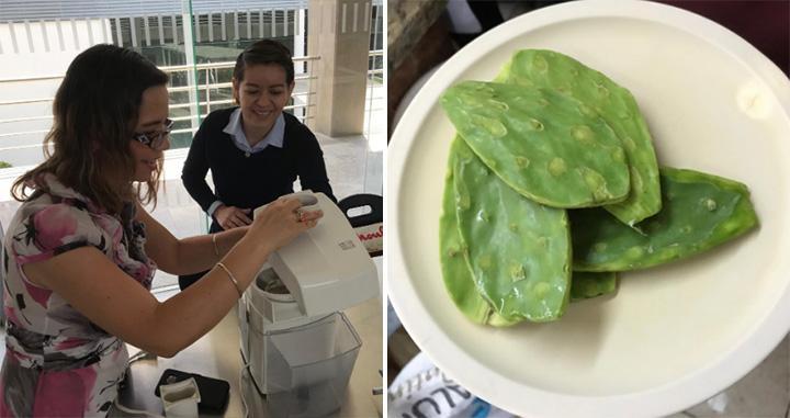 В Мексике изобрели биоразлагаемый пластик из кактуса, который пригоден для употребления в пищу.