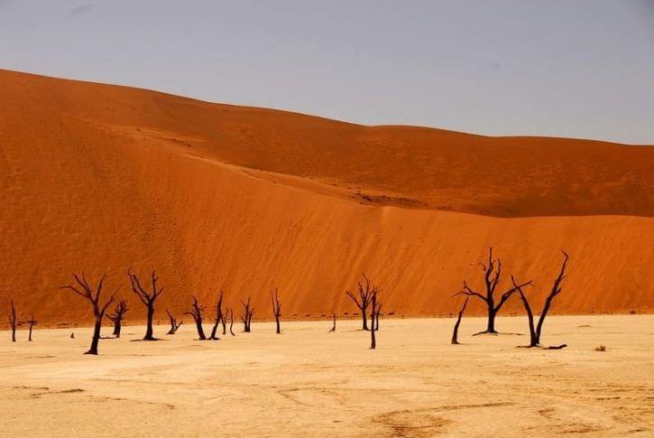 Дедвлей: мёртвое болото в Намибии