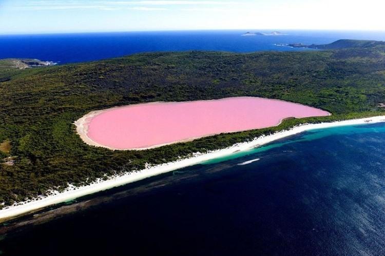 Розовое озеро Хиллиер в Австралии
