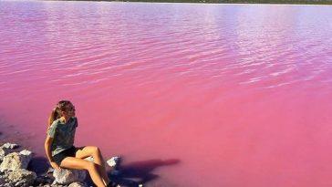 Розовое озеро Хиллиер в Австралии