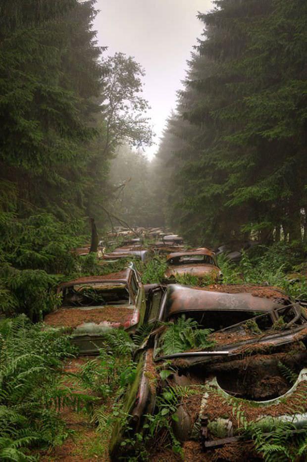 Необыкновенное кладбище старых заброшенных автомобилей в Бельгии