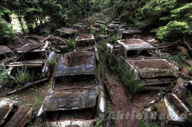 Необыкновенное кладбище старых заброшенных автомобилей в Бельгии