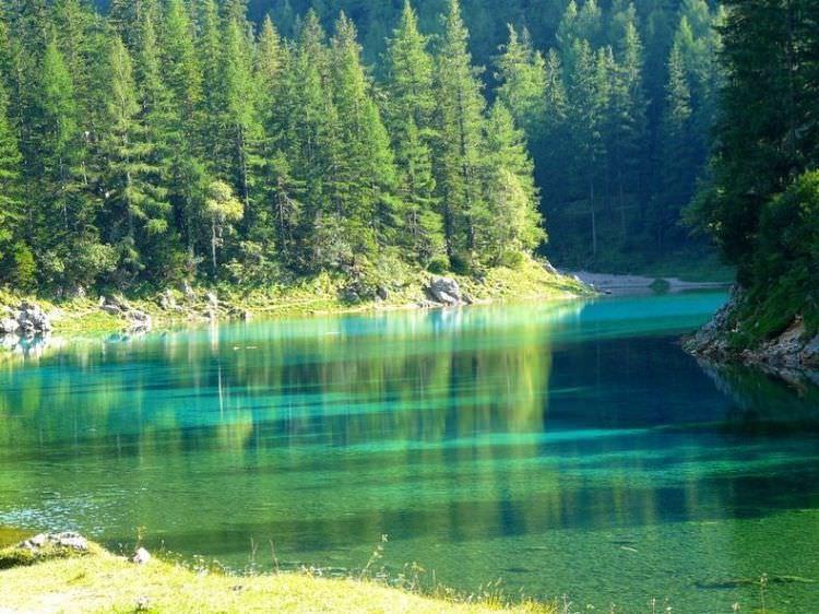 Озеро Грюнер-Зее. Исчезающий парк в Австрии