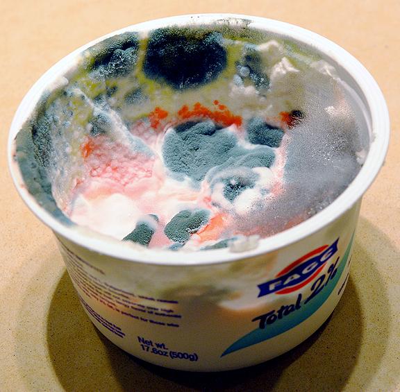 Безопасно ли употреблять йогурт после истечения срока годности?