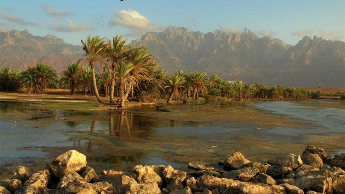 Остров Сокотра, Йемен - «самое странное место на Земле»