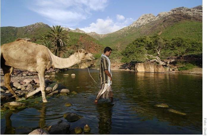 Остров Сокотра, Йемен - «самое странное место на Земле»