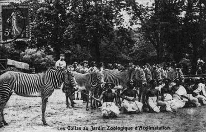 Человеческие зоопарки Европы - жирный след истории