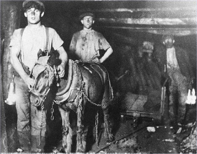 Пит Пони: Лошади в угольных шахтах