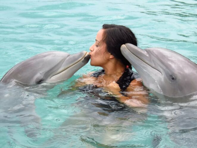 Ученые выяснили, что дельфины образуют «бойз-бэнды», чтобы соблазнять самок своими выступлениями.