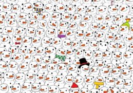В толпе счастливых и улыбающихся снеговиков прячется панда. Решите зимнюю головоломку
